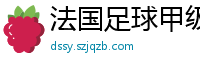 法国足球甲级联赛